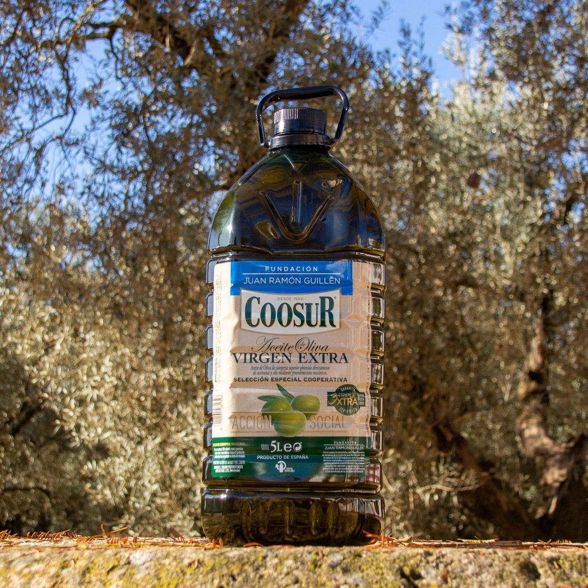 Virgen Extra 5L – Selección Cooperativa FJRG